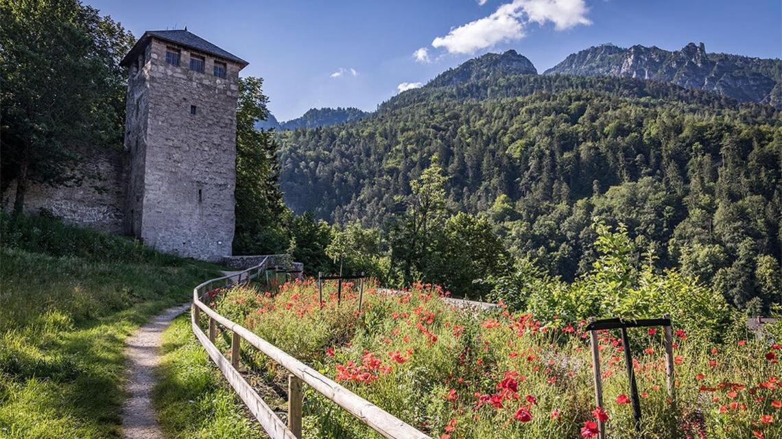 Ferienwohnungen Brigitte In Der Altstadt Бад-Райхенхалль Экстерьер фото